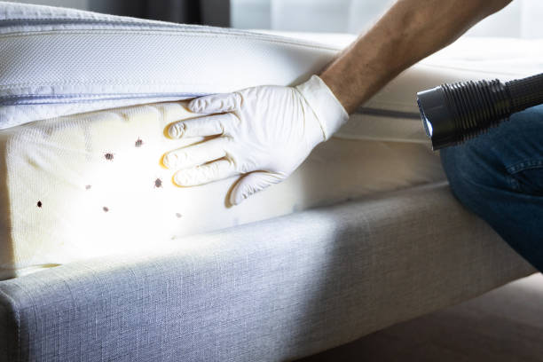 Best Pest Prevention Services  in Liberty, UT