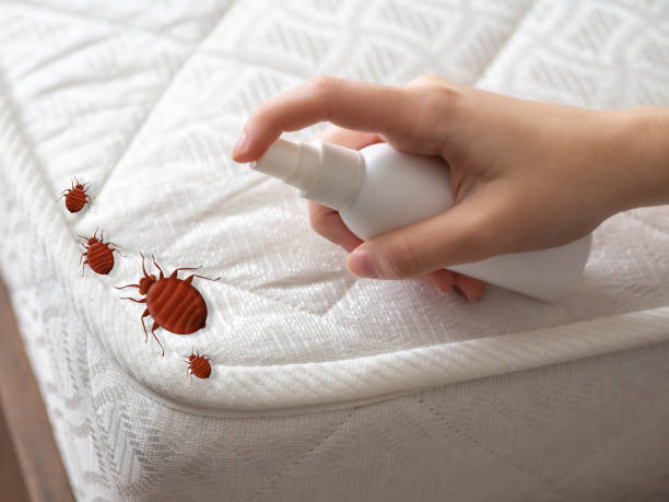Best Affordable Pest Control Services  in Liberty, UT